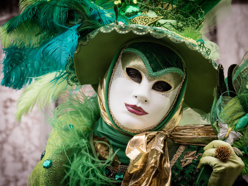 karneval 2015-20