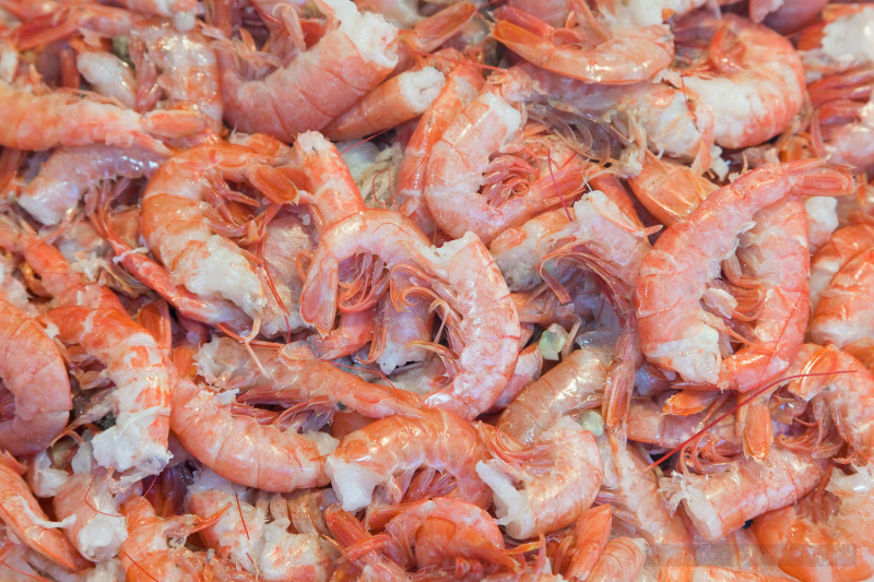 Uncooked Shrimp