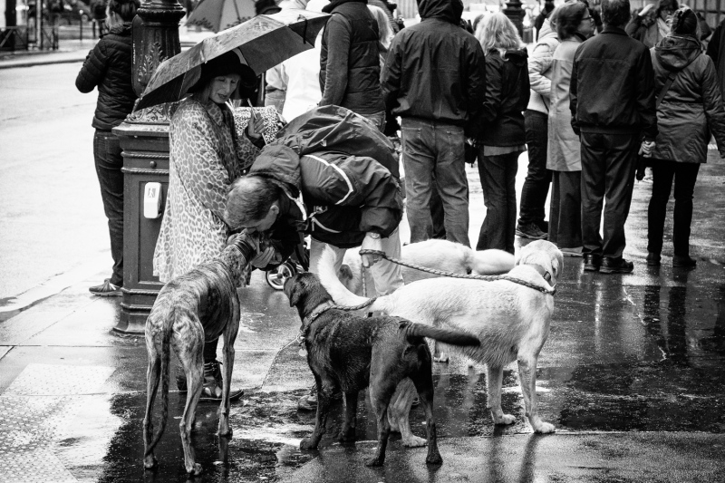 Paris-18