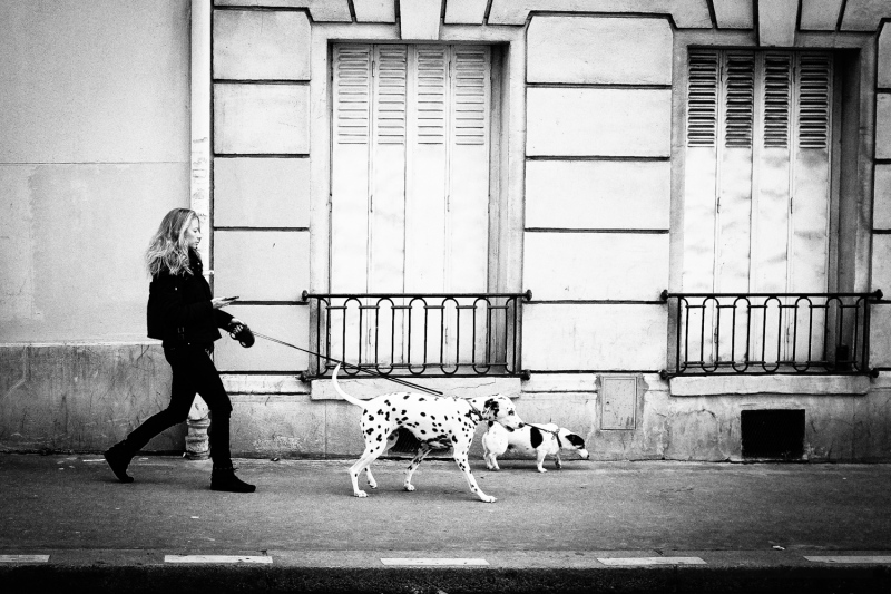 Paris-19