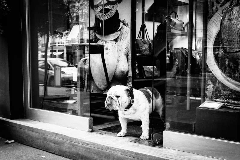 Paris-39