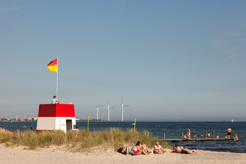 Strandliv-13