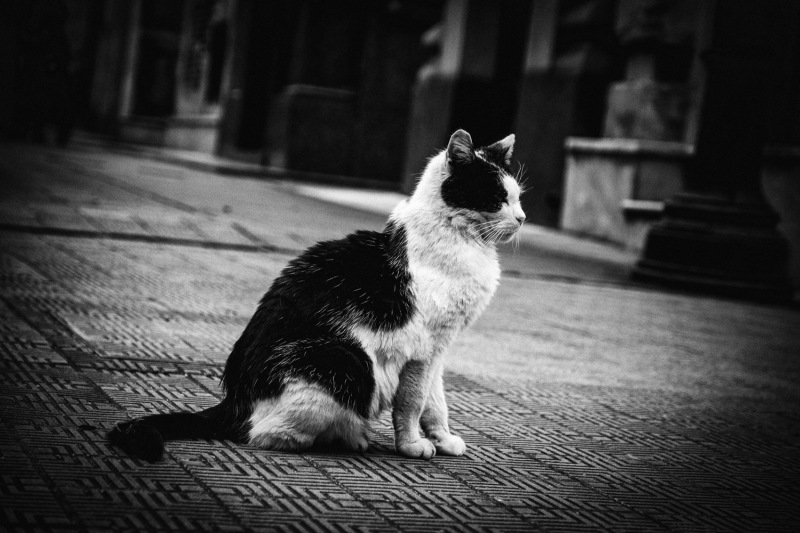 recoleta-10