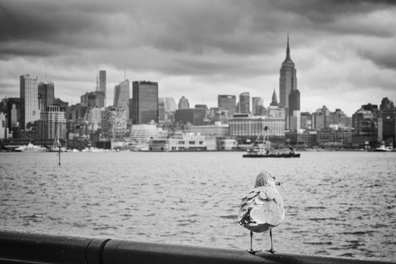 New-York-18